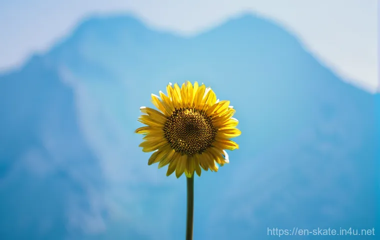 스케이트 대회 경험담 - Here are three detailed image generation prompts in English, designed to adhere to the specified saf...